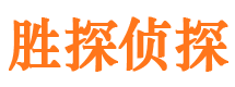 东城市侦探公司